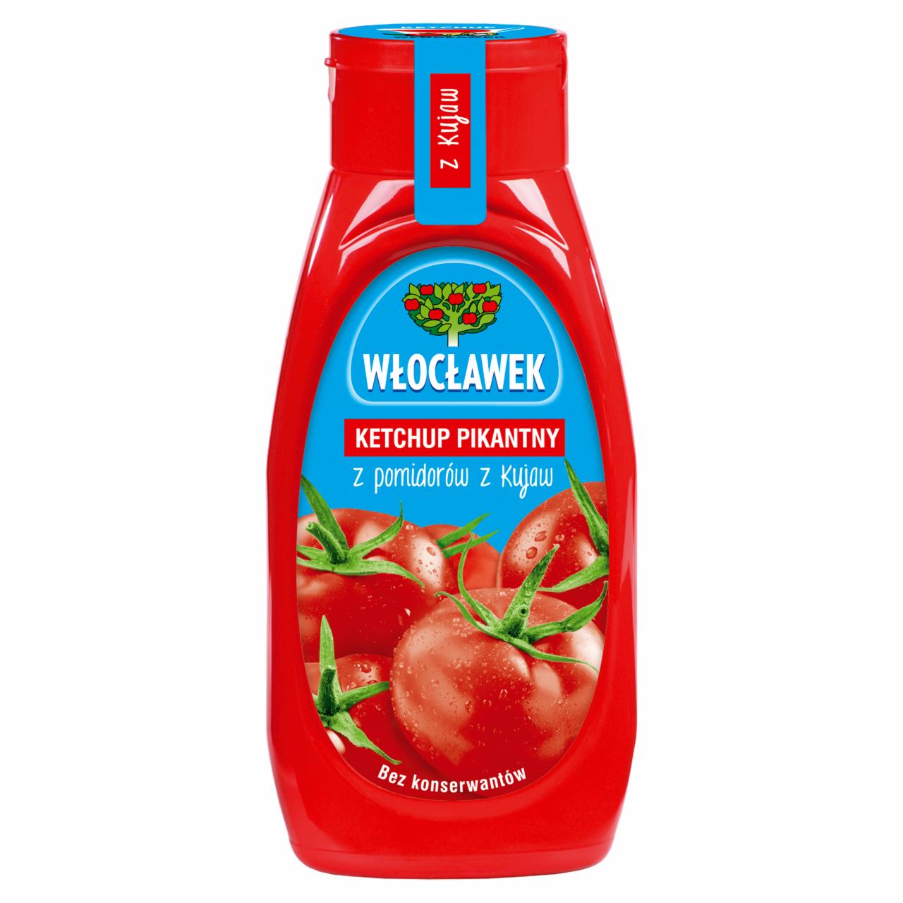 Zdjęcia - Włocławek Ketchup pikantny 480 g