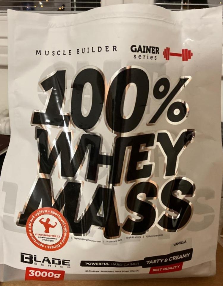 Zdjęcia - Hi Tec 100% whey mass