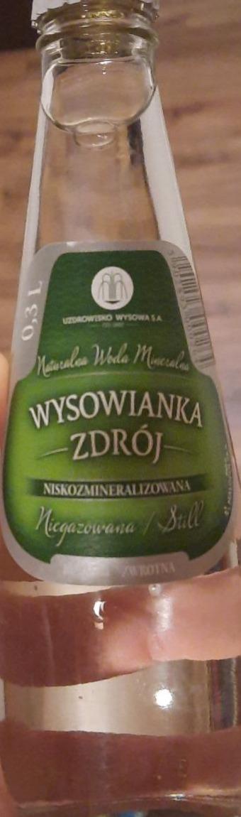 Zdjęcia - Wysowianka Zdrój