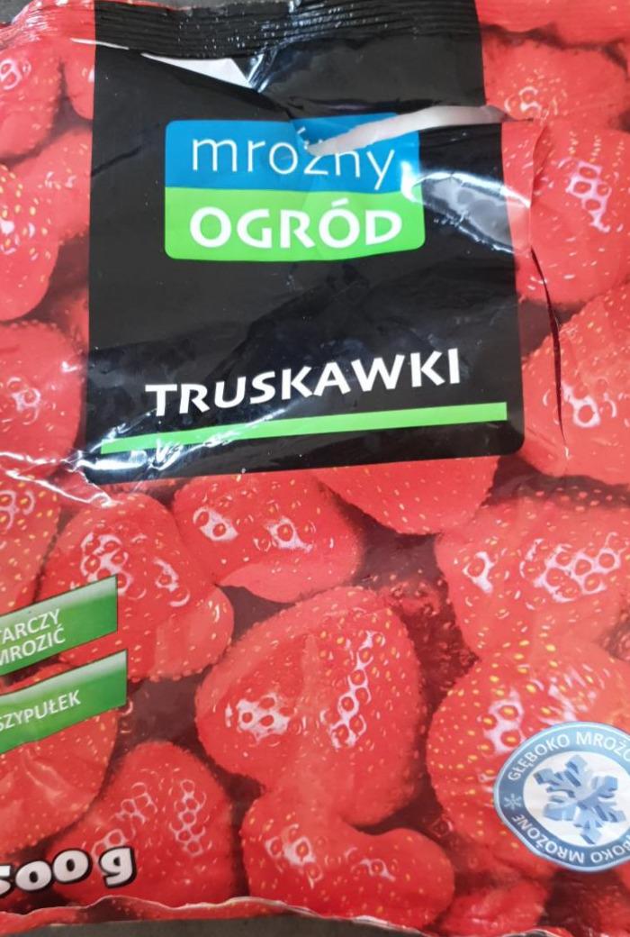 Zdjęcia - Truskawki Mroźny ogród