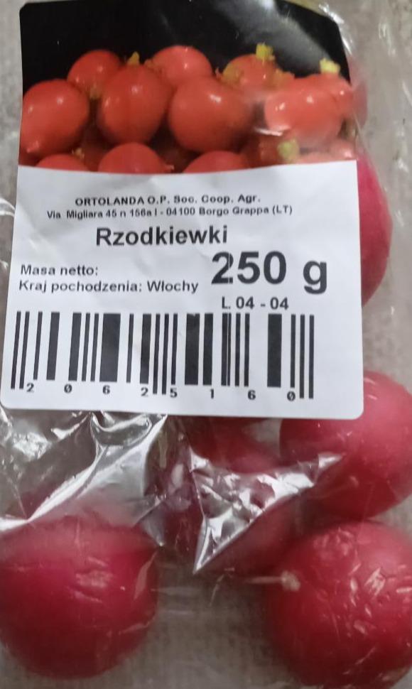 Zdjęcia - Rzodkiewki Ortolanda O.P.