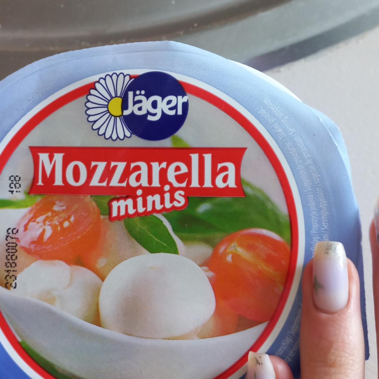 Zdjęcia - Ser Mozzarella mini 500 g