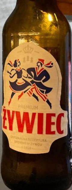 Zdjęcia - Żywiec Premium Piwo jasne 500 ml