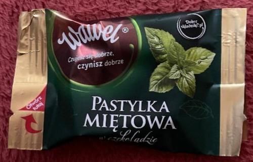 Zdjęcia - Pastylka miętową w czekoladzie Wawel