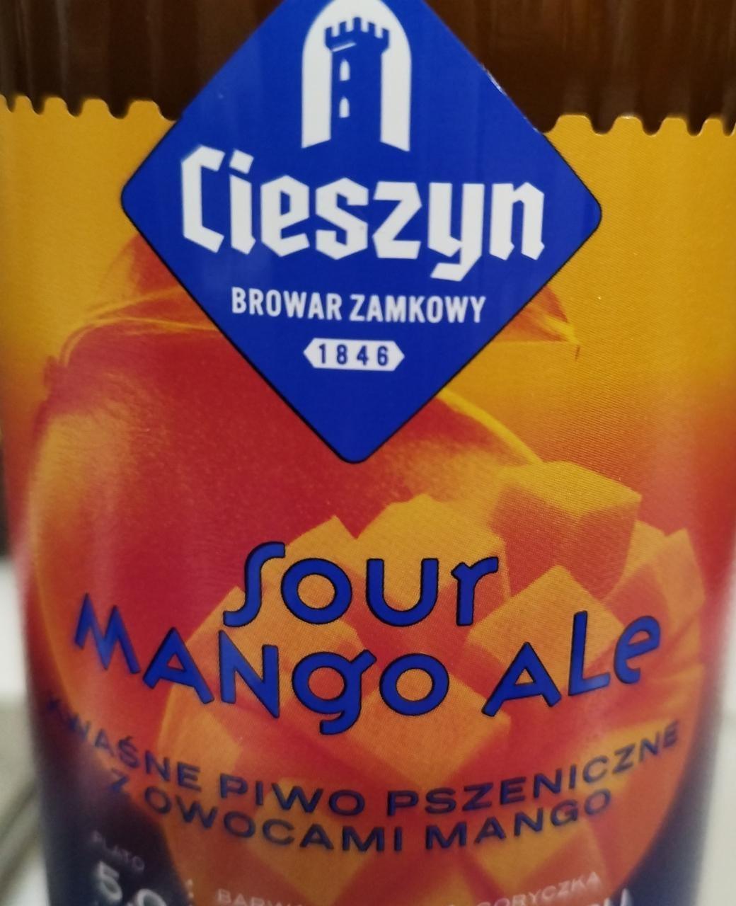 Zdjęcia - Sour mango ale Cieszyn