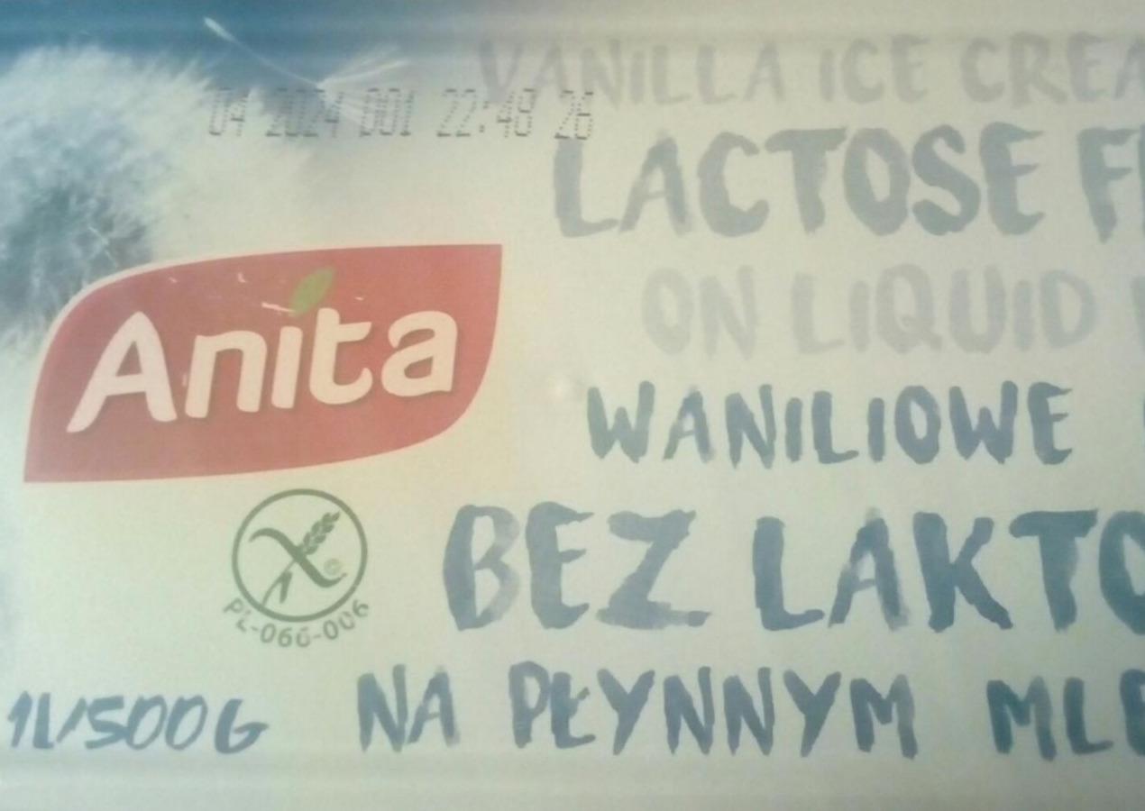 Zdjęcia - Lody waniliowe bez laktozy Anita