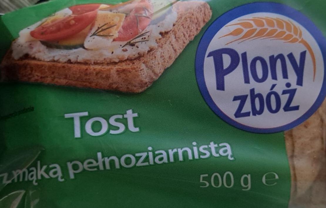 Zdjęcia - Tost z mąką pełnoziarnistą Plony zbóż