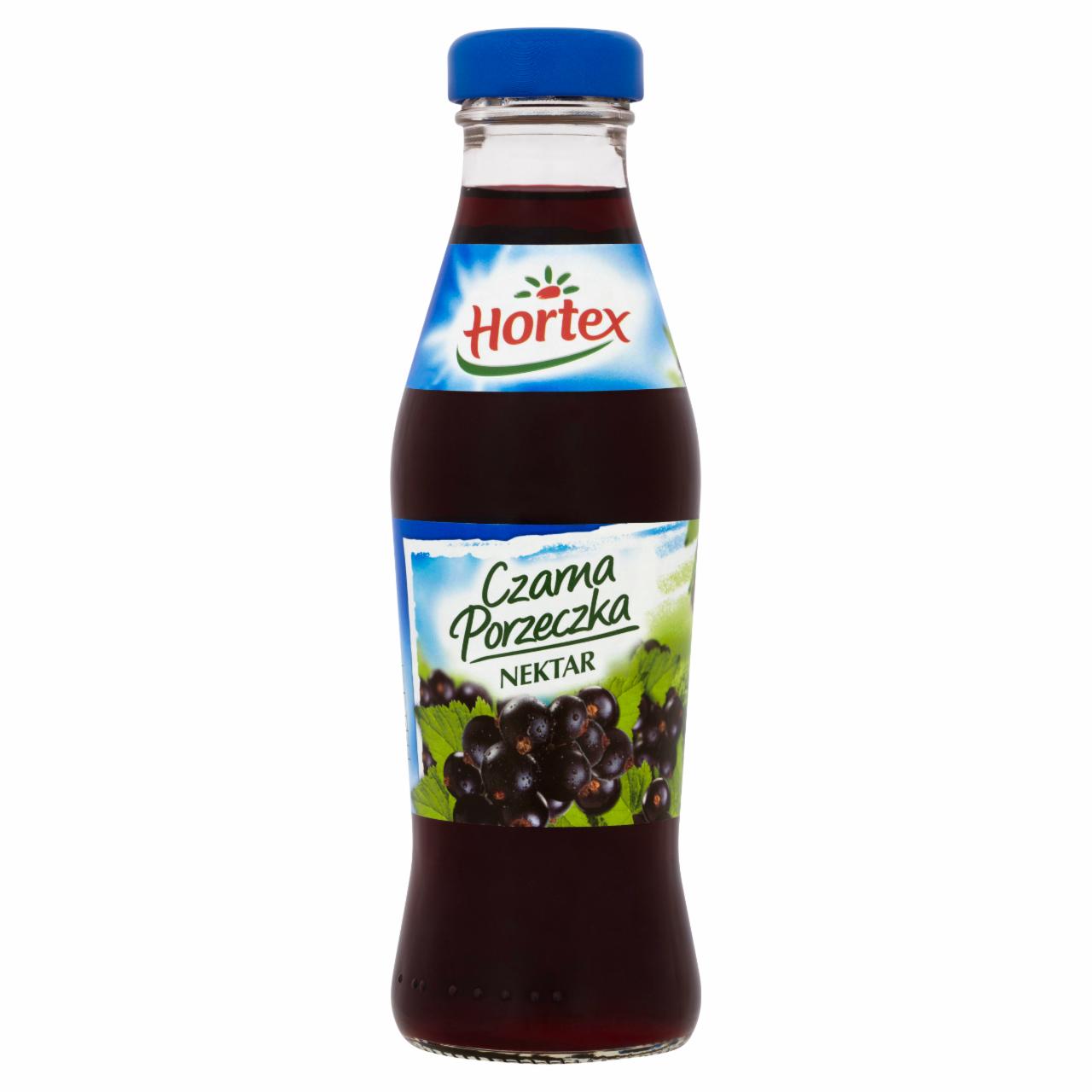 Zdjęcia - Hortex Czarna Porzeczka Nektar 250 ml