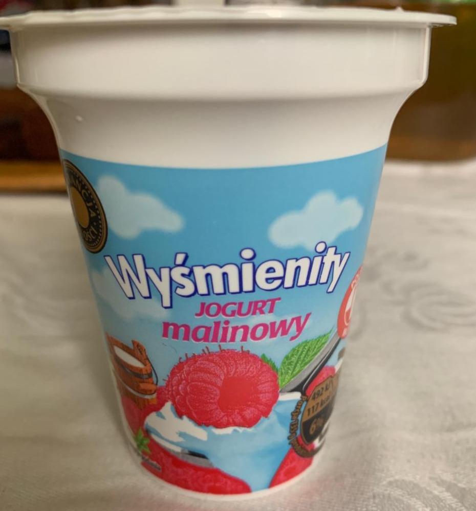 Zdjęcia - jogurt malinowy Wyśmienity