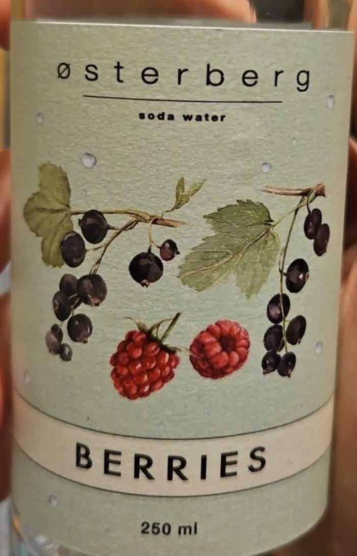 Zdjęcia - Soda water berries Osterberg