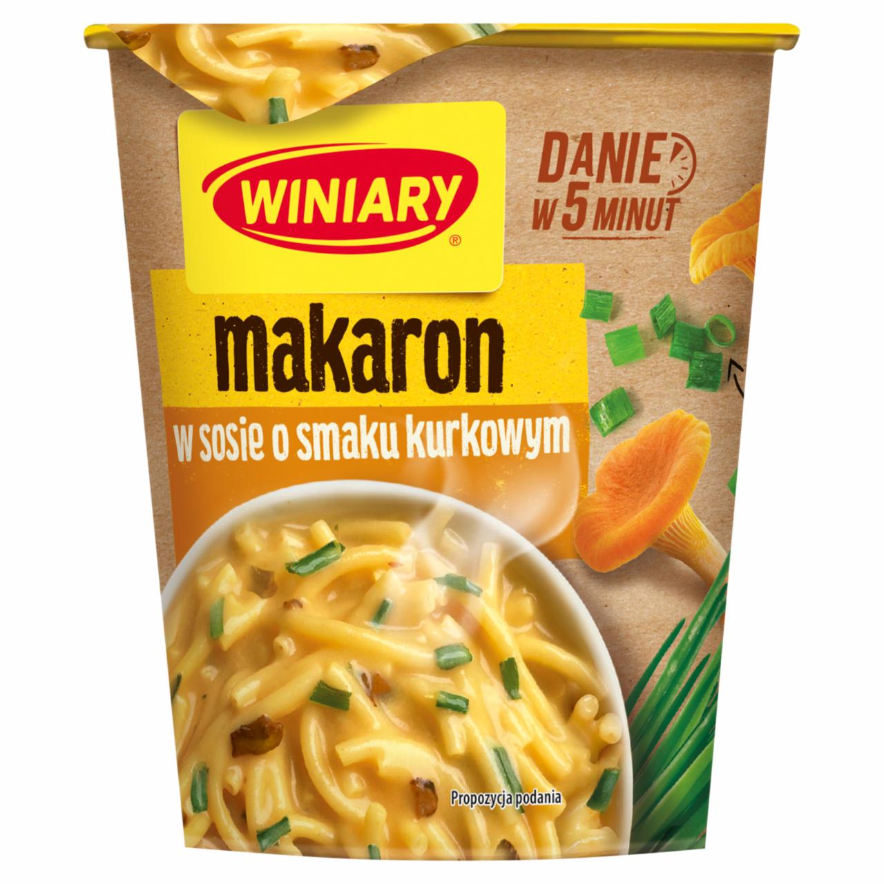 Zdjęcia - Winiary Danie instant makaron w sosie o smaku kurkowym 56 g