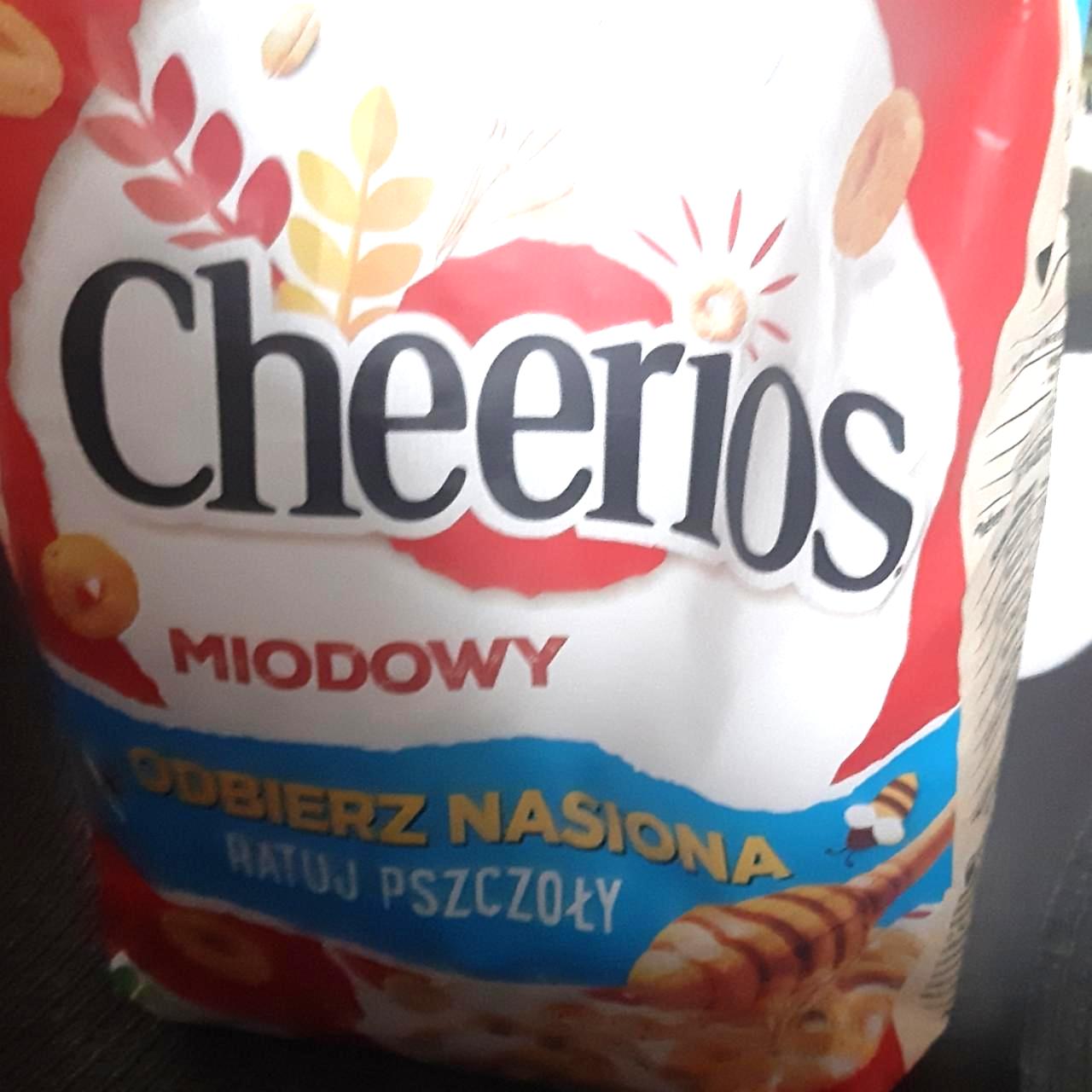 Zdjęcia - cheerios miodowy Nestle