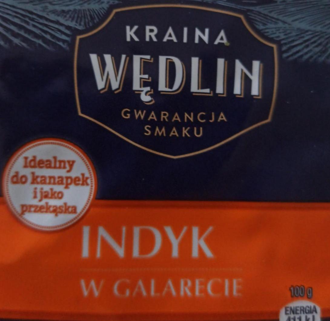 Zdjęcia - Indyk w galarecie Kraina Wędlin