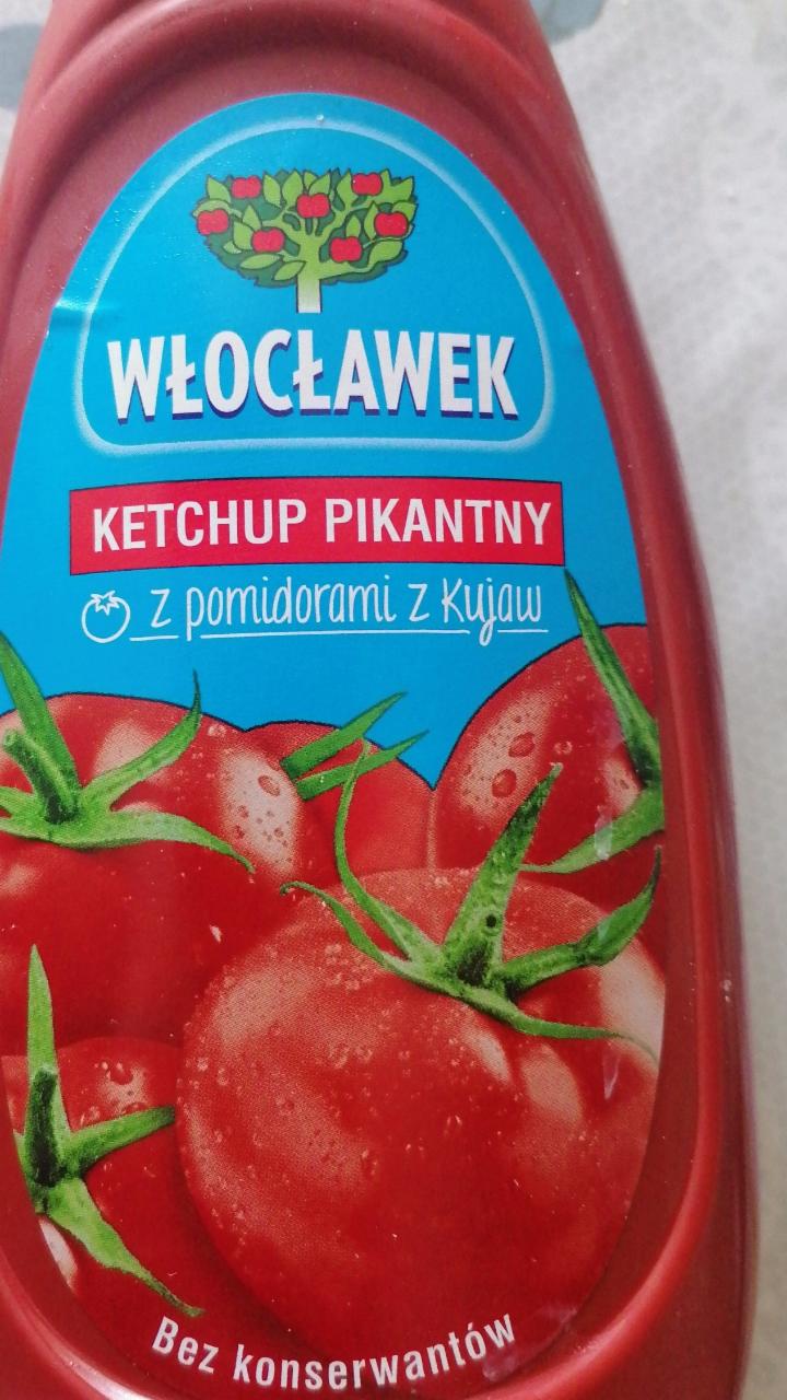 Zdjęcia - Ketchup pikantny 500g Włocławek