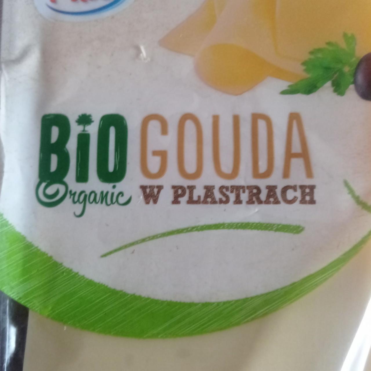 Zdjęcia - Gouda bio organic Pilos