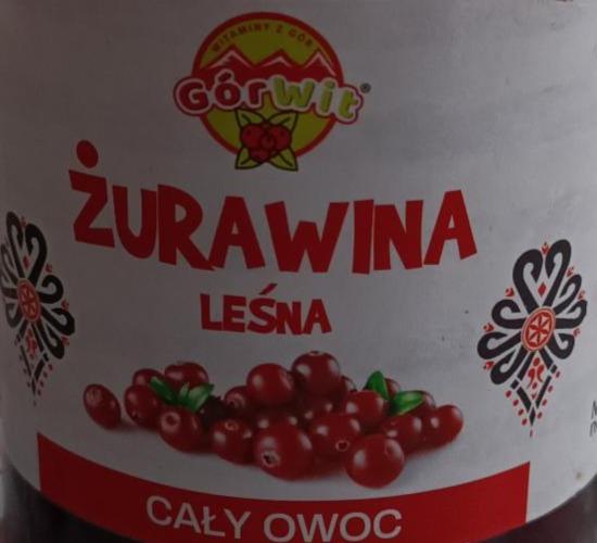 Zdjęcia - Żurawina leśna GórWit