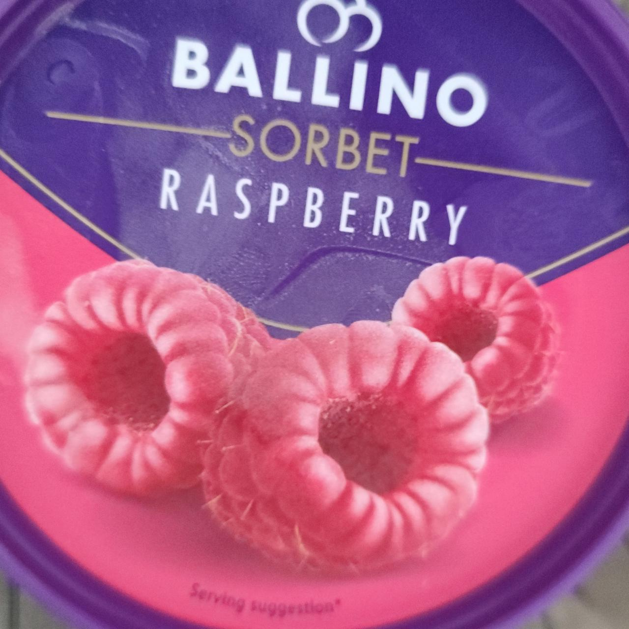 Zdjęcia - Sorbet Raspberry Ballino