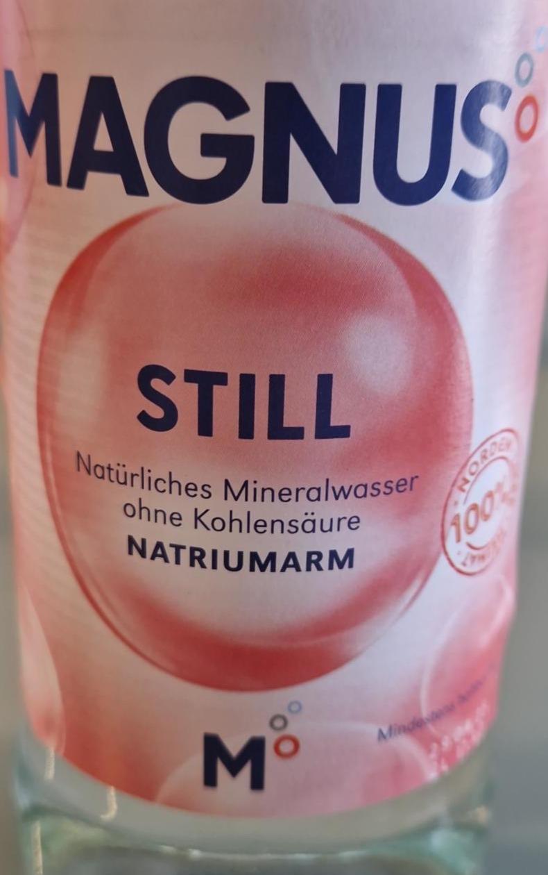 Zdjęcia - Still naturliches mineralwasser Magnus