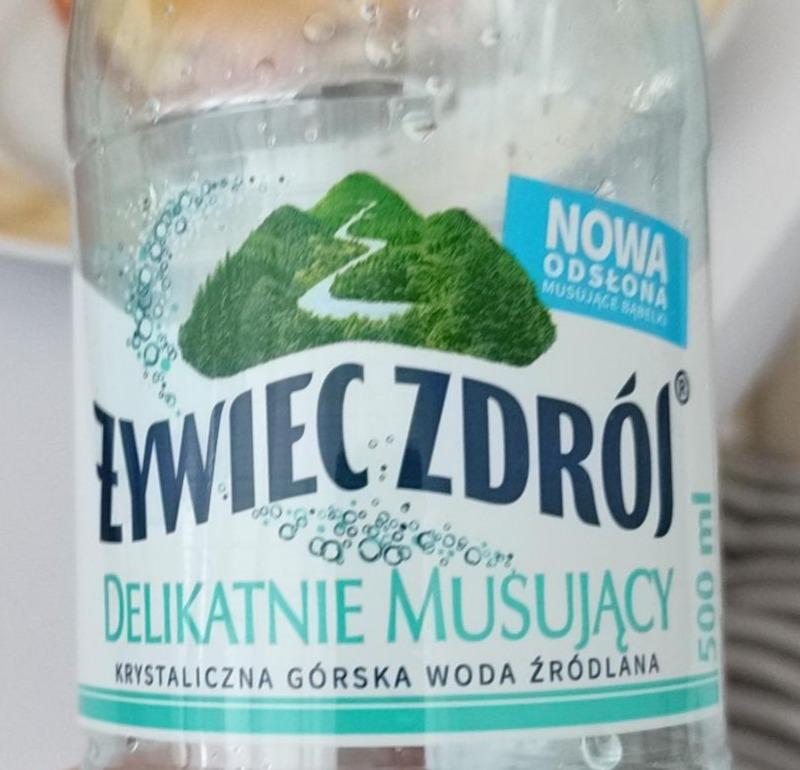 Zdjęcia - Zywiec zdrój Górska woda