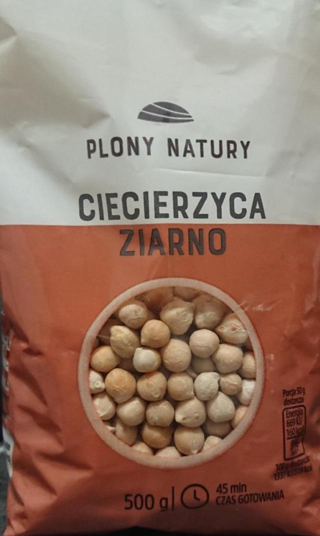 Zdjęcia - Ciecierzyca ziarno Plony natury