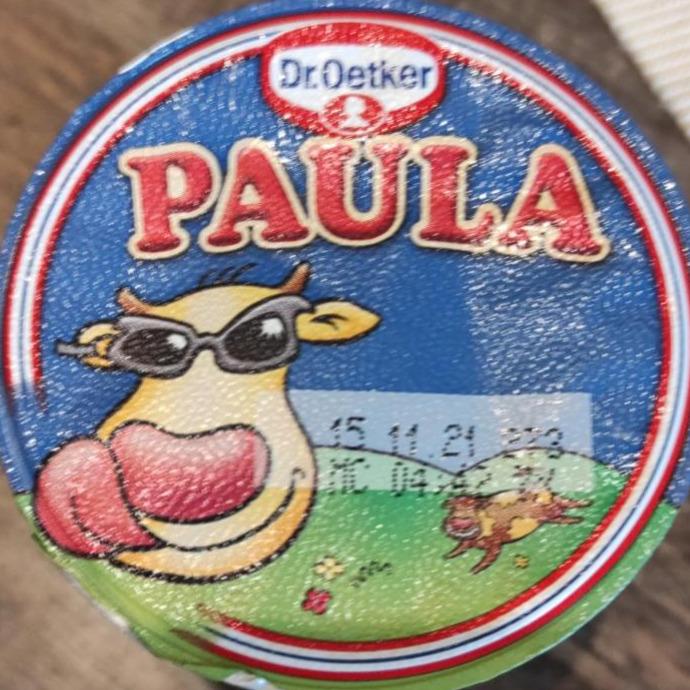 Zdjęcia - Paula deser mleczny Dr Oetker