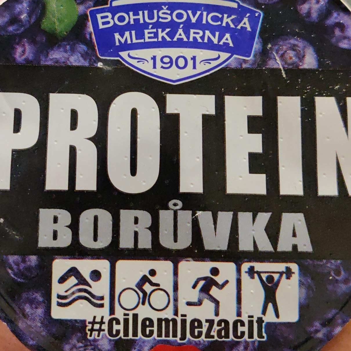 Zdjęcia - Protein borůvka Bohušovická Mlékárna