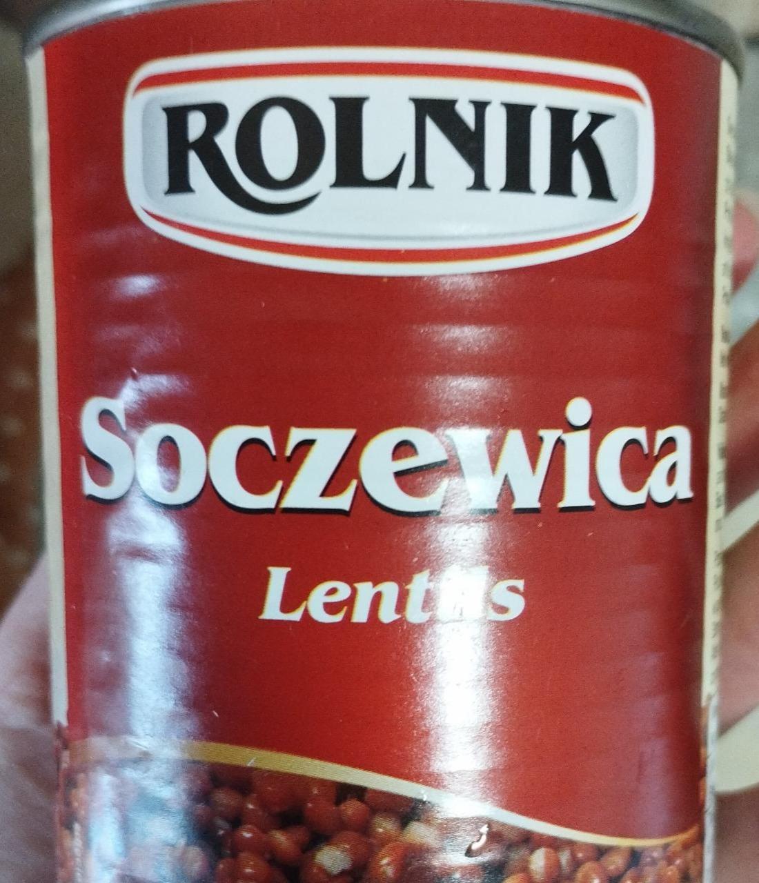 Zdjęcia - Soczewica Lentils Rolnik