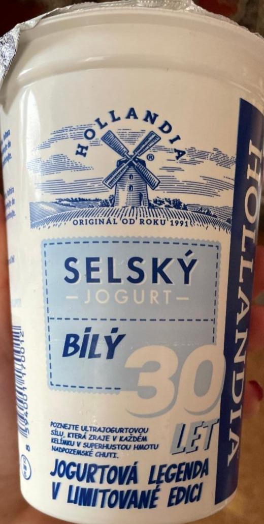 Zdjęcia - Sielski jogurt biały 3,8% tłuszczu Hollandia