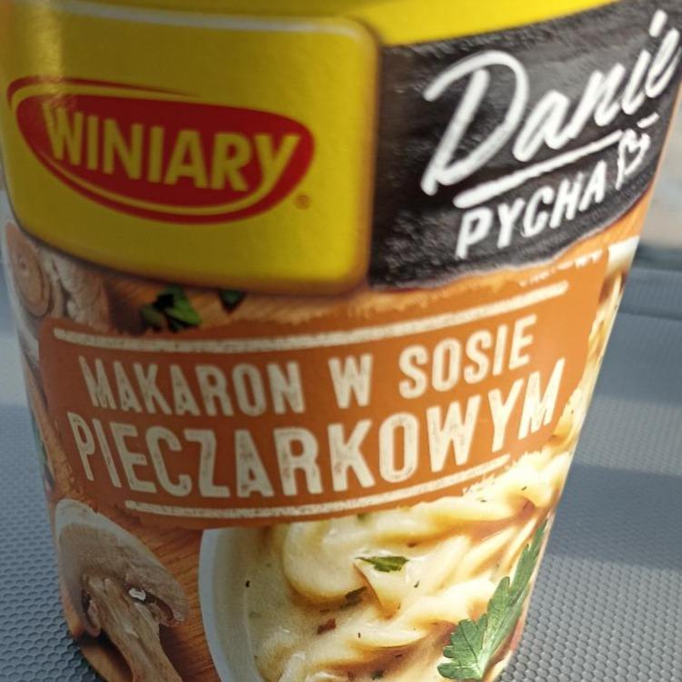 Zdjęcia - Winiary Danie Pycha Makaron w Sosie Pieczarkowym