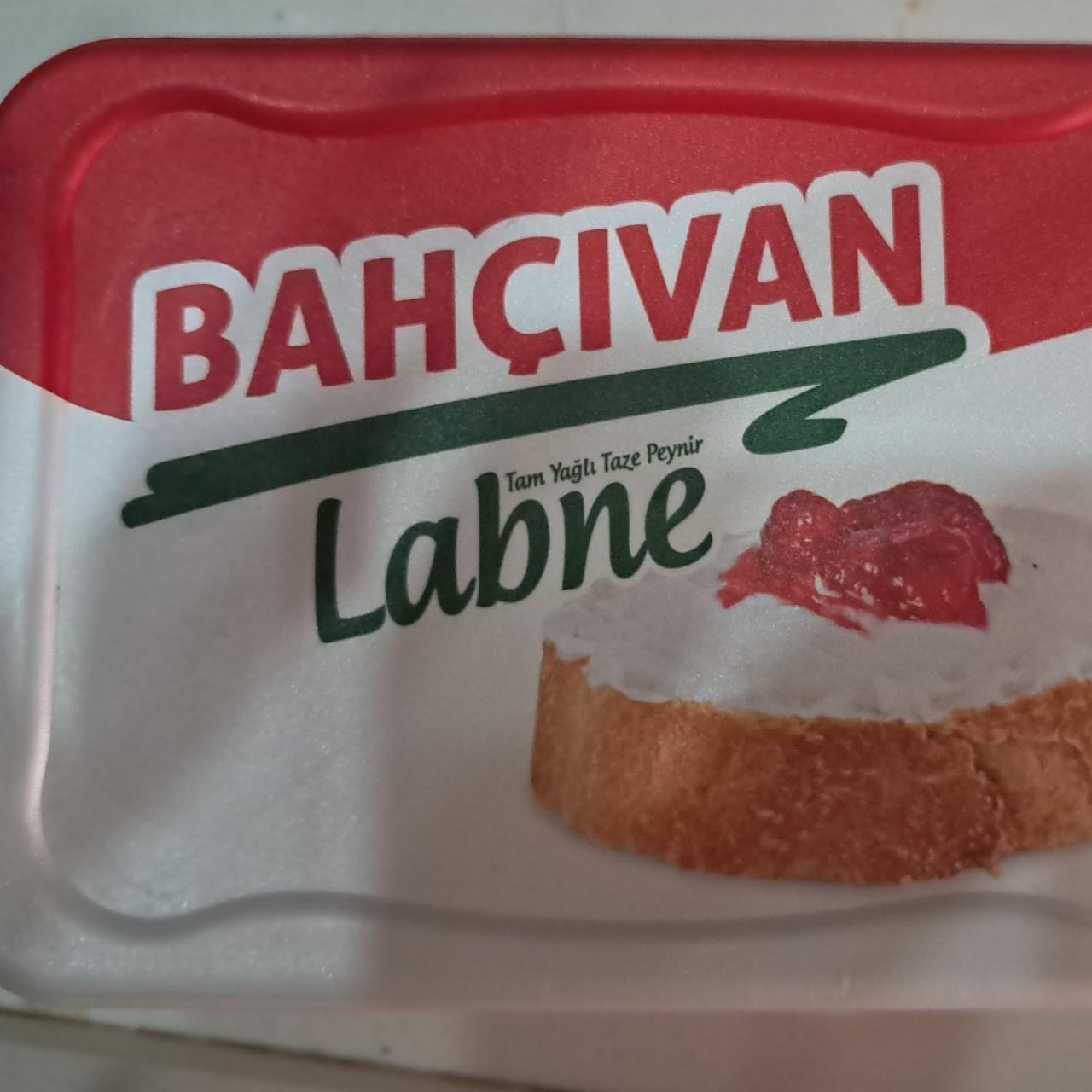 Zdjęcia - Labne Bahçıvan