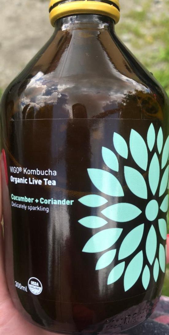 Zdjęcia - Kombucha ogórek + kolendra VIGO