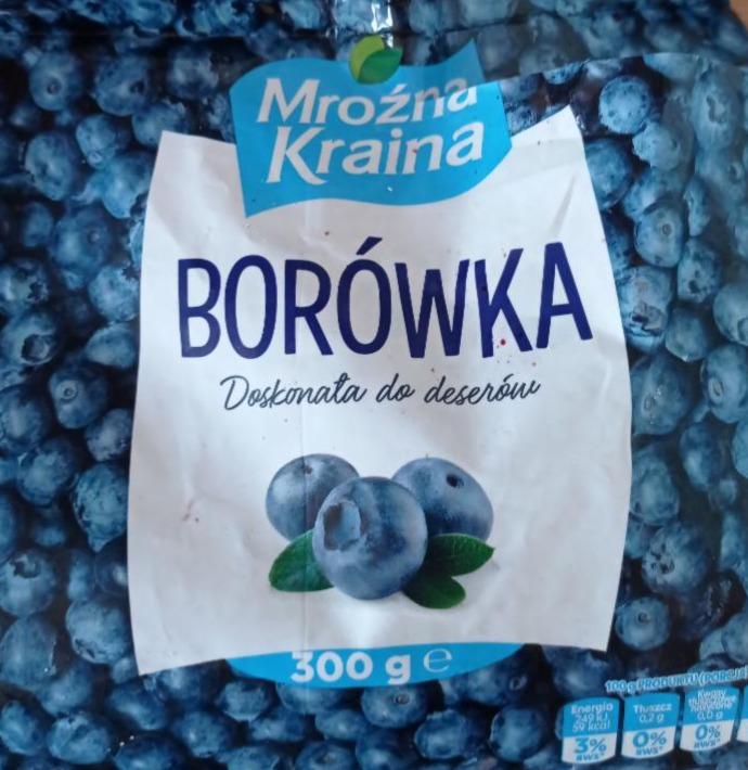 Zdjęcia - Borówka mrożone Mrożna Kraina