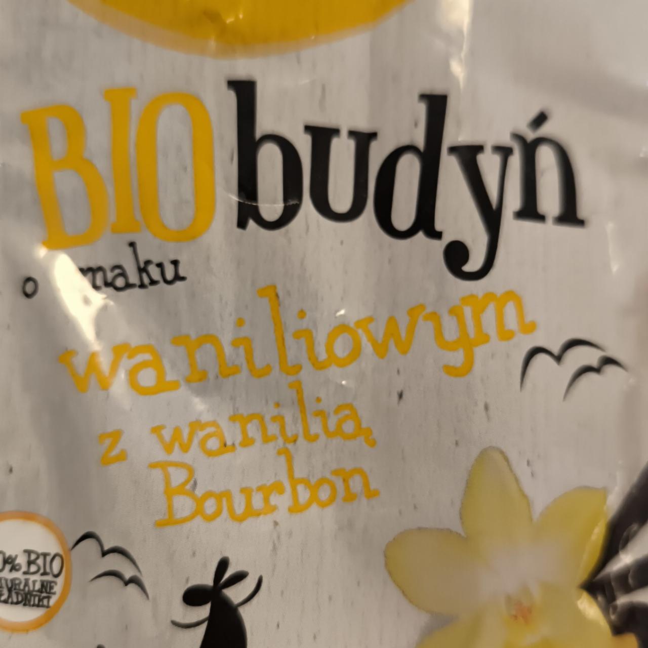 Zdjęcia - Biobudyń o smaku waniliowym z wanilią bourbon Naura