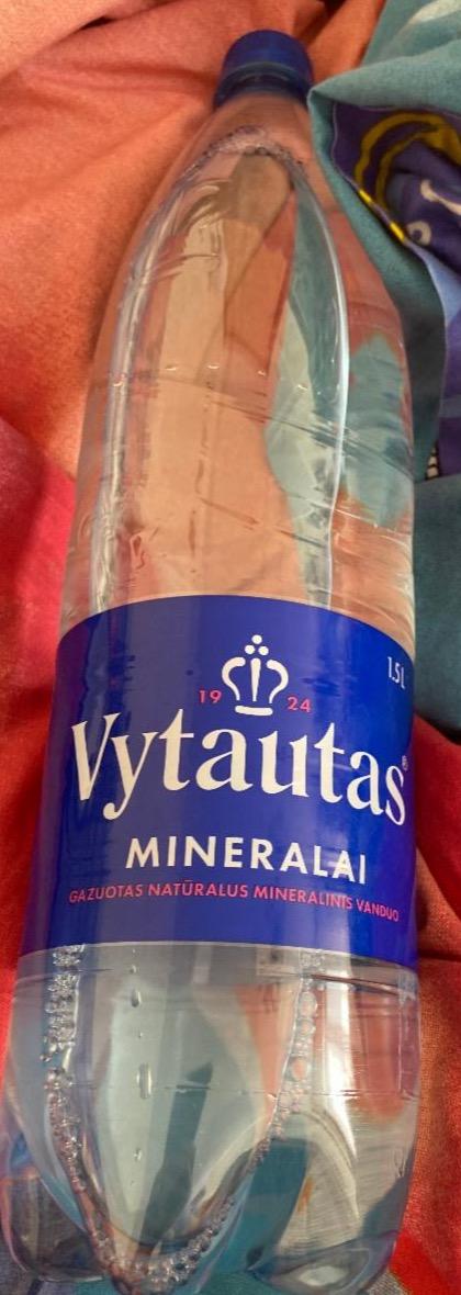 Zdjęcia - Mineralai vanduo Vytautas