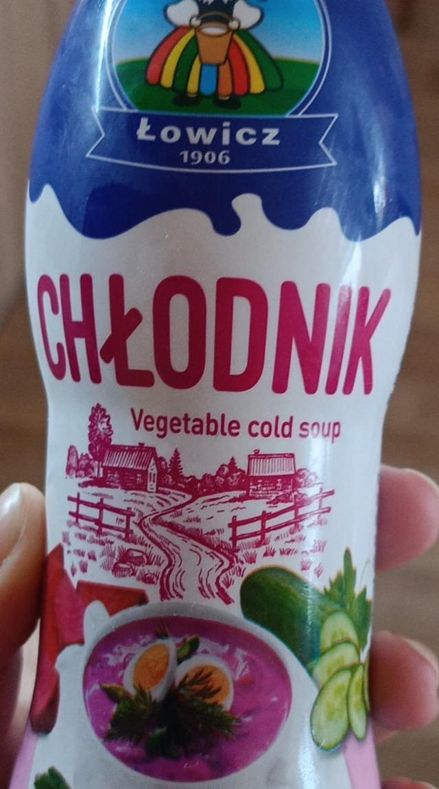 Zdjęcia - Chłodnik Vegetable cold soup Łowicz