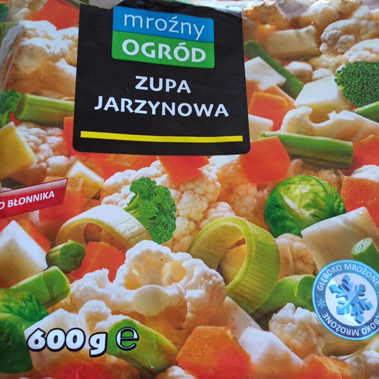 Zdjęcia - Zupa jarzynowa Mroźny Ogród