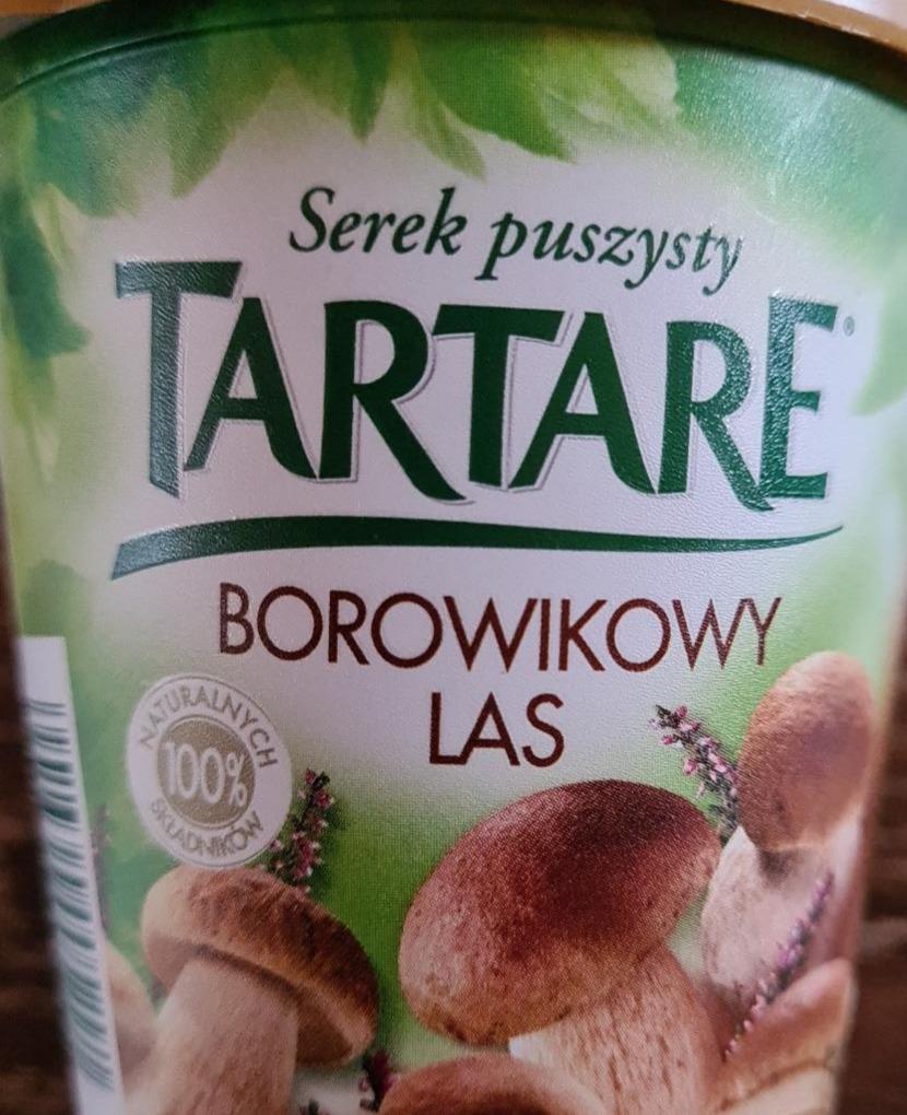 Zdjęcia - Serek puszysty borowikowy las Tartare