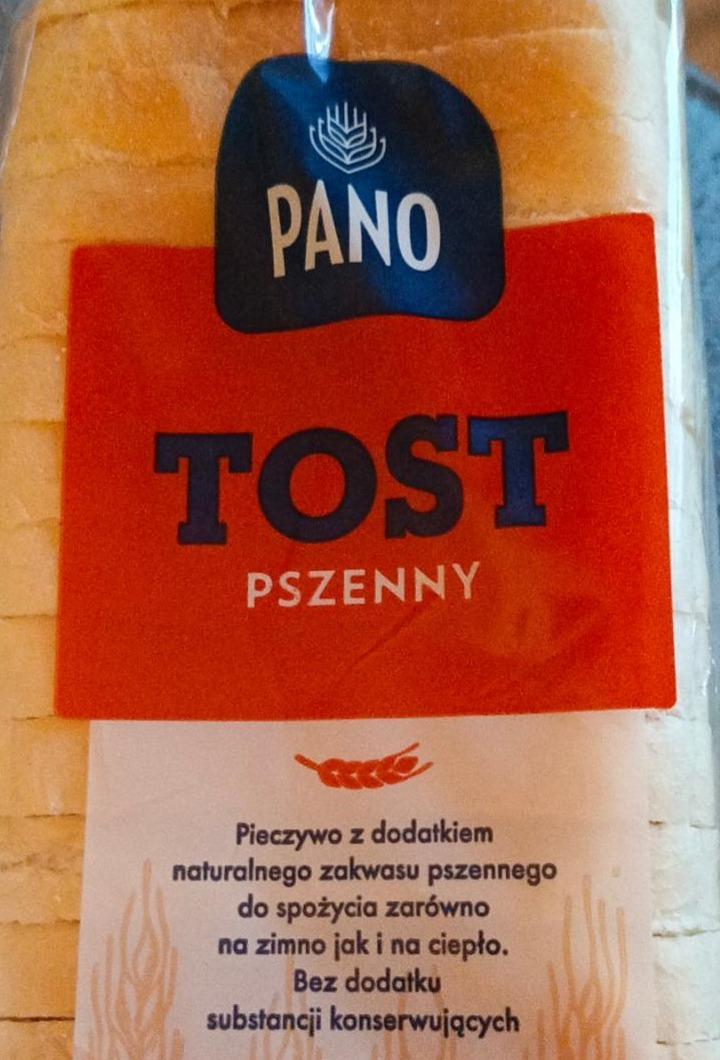 Zdjęcia - Chleb tostowy pszenny Pano