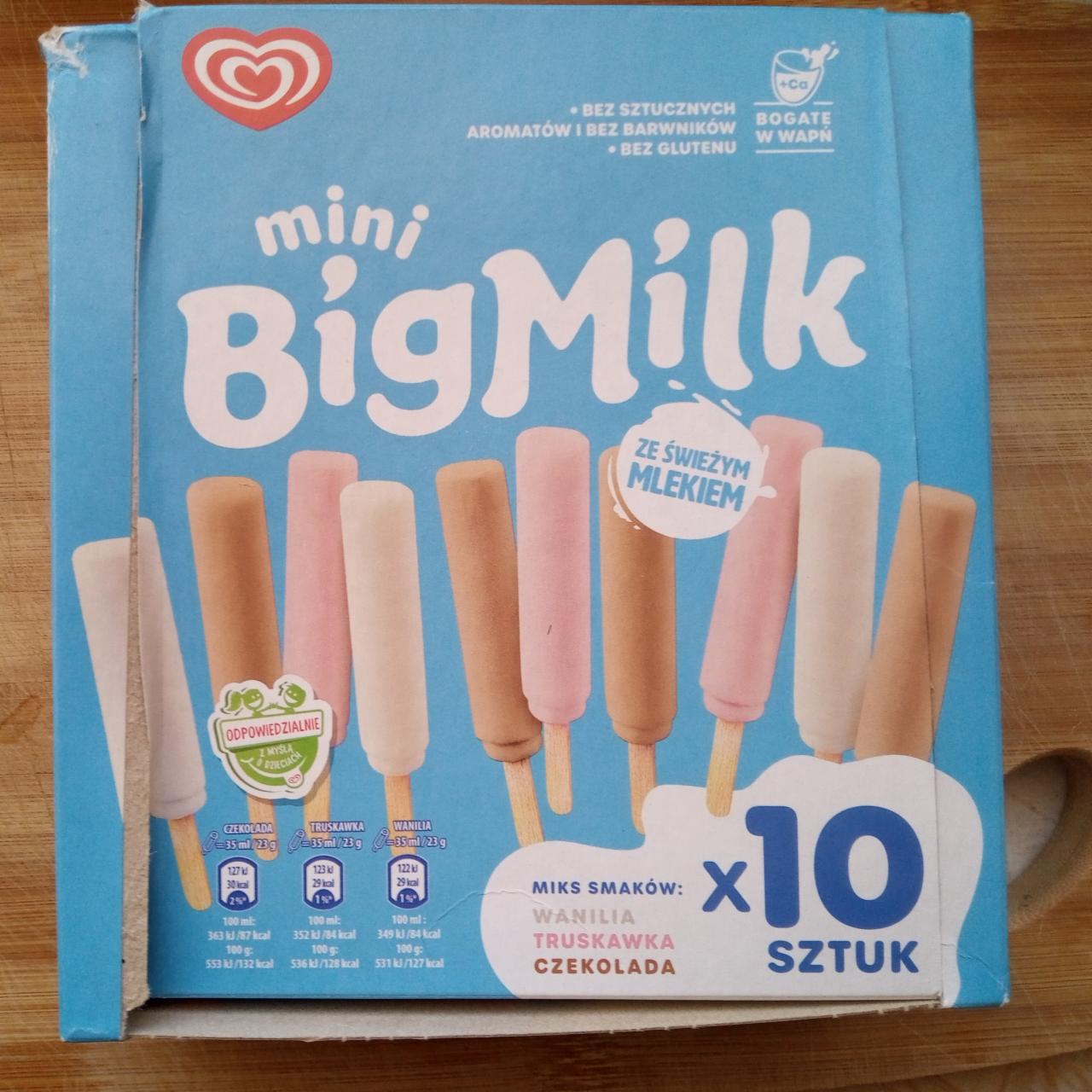 Zdjęcia - Big milk mini miks smaków Algida