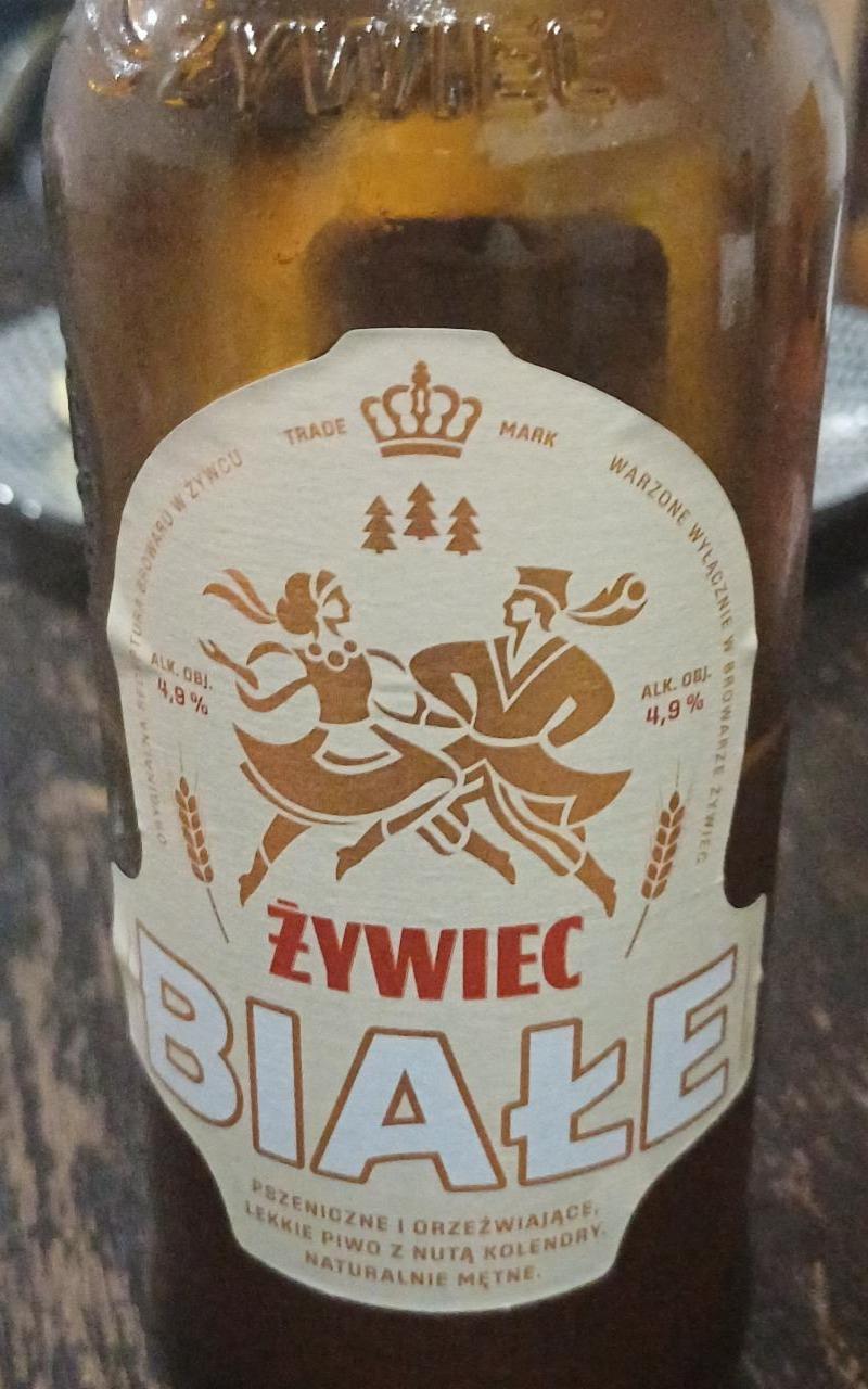 Zdjęcia - Żywiec Piwo pszeniczne białe 500 ml