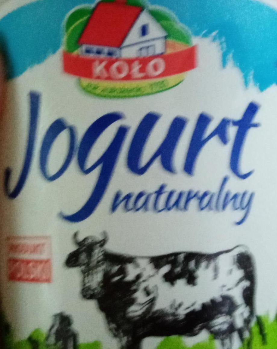 Zdjęcia - Koło jogurt naturalny