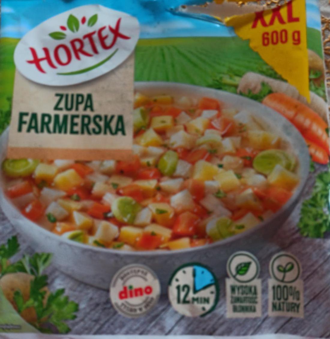 Zdjęcia - Zupa Farmerska Hortex