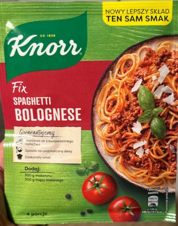 Zdjęcia - Knorr Fix spaghetti bolognese 41 g