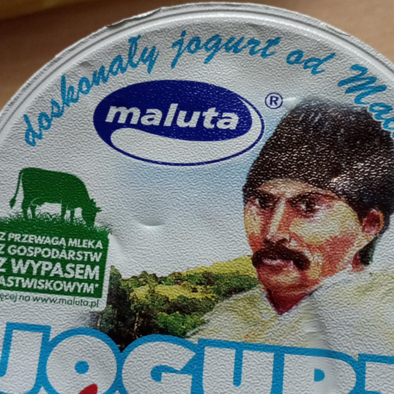 Zdjęcia - Maluta Jogurt lekki typ bałkański 340 g