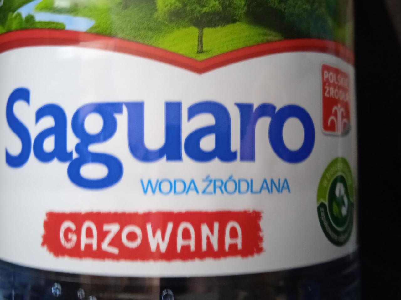 Zdjęcia - woda saguaro gazowana