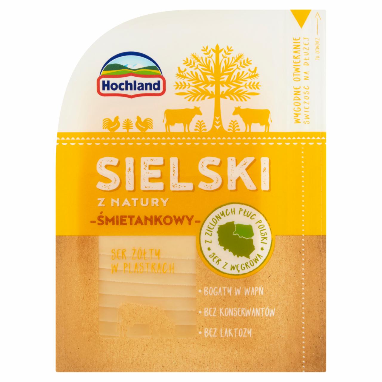 Zdjęcia - Hochland Sielski z Natury Ser żółty w plastrach śmietankowy 120 g