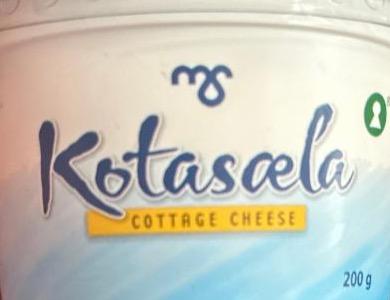 Zdjęcia - Kotasela cottage cheese MS