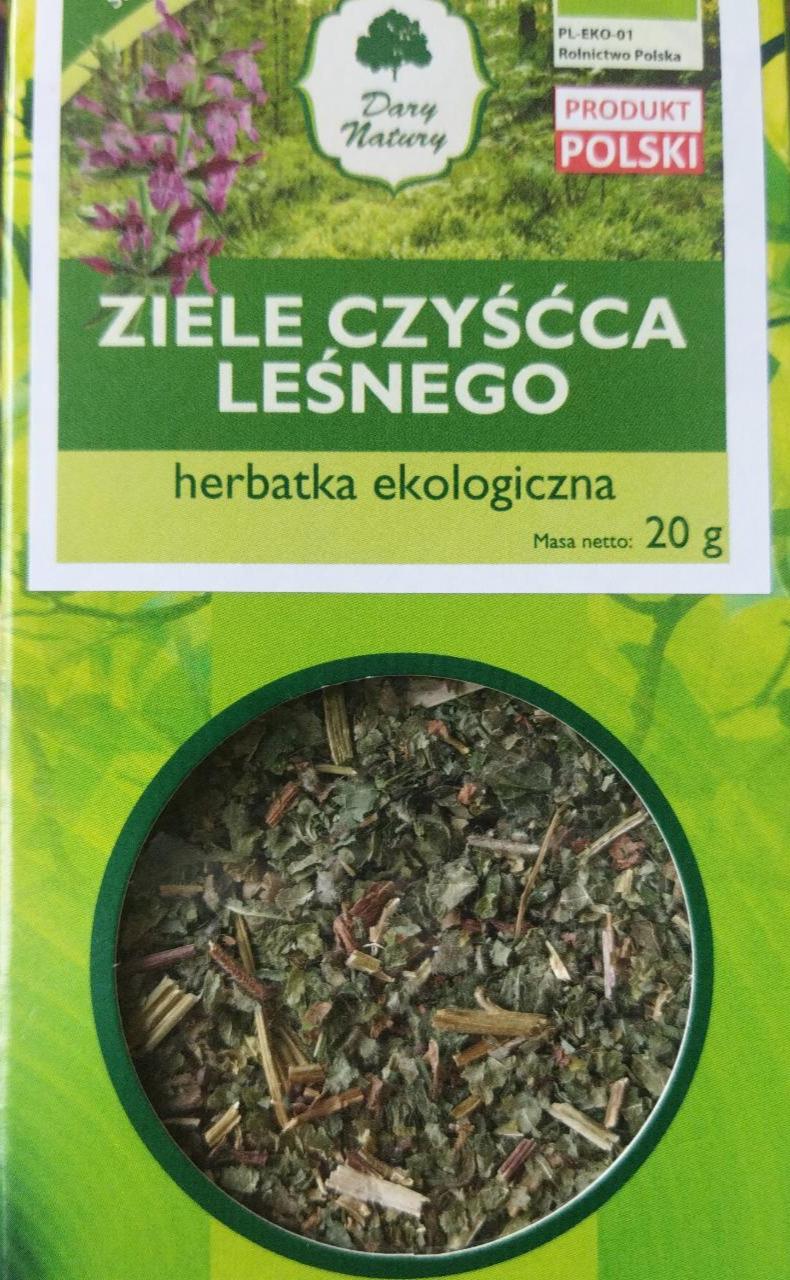 Zdjęcia - ziele czyśćca leśnego Dary Natury