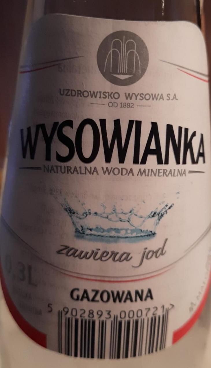 Zdjęcia - Wysowianka woda Uzdrowisko Wysowa