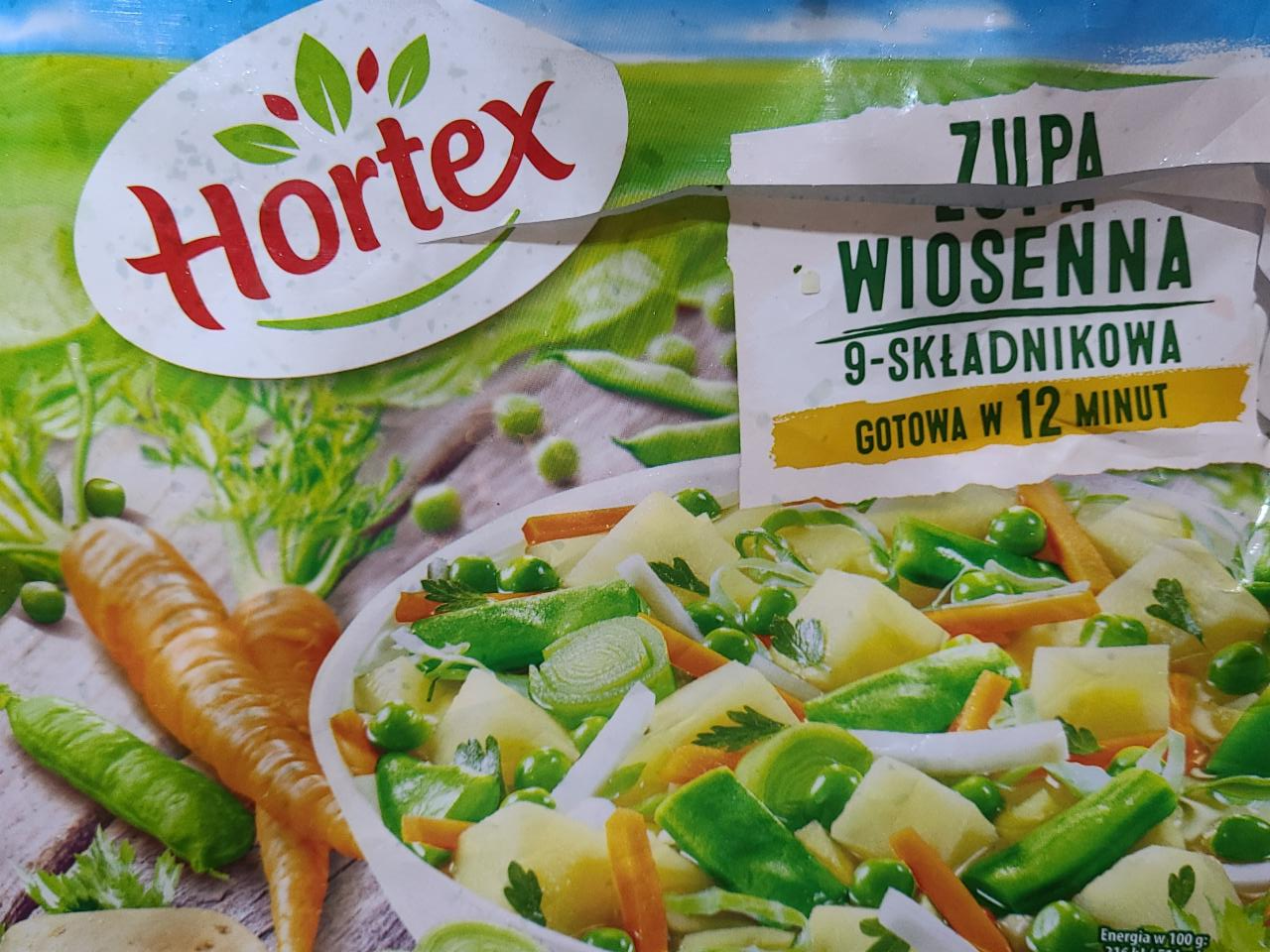 Zdjęcia - Zupa wiosenna 9-składnikowa Hortex